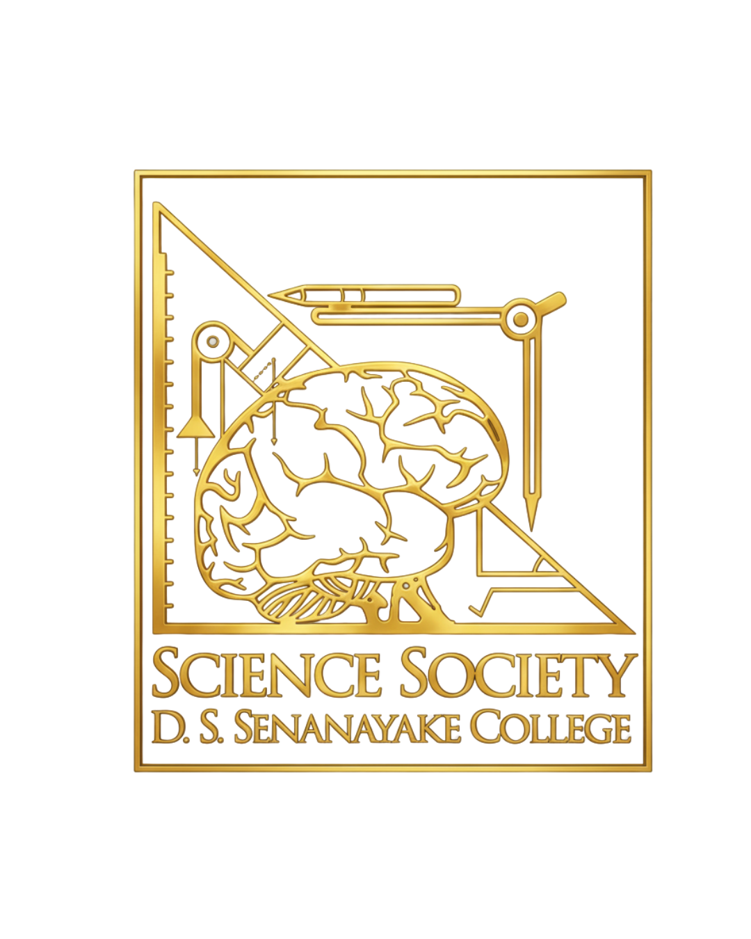 SSDS logo